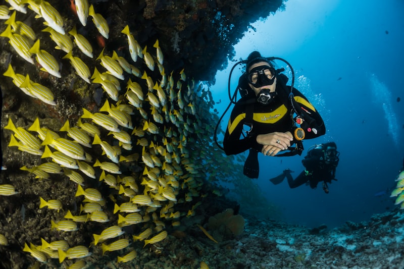 Best Fishing Piers in Florida: Saltwater Spots You Need to Visit
